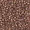Miyuki 8 Round Seed Bead, 8-641, Dyed Rose Bronze Silver Lined Alabaster, 10 grams